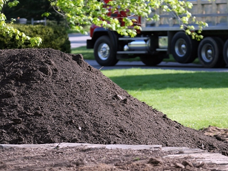 Top Soil