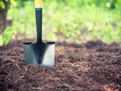 Mulch